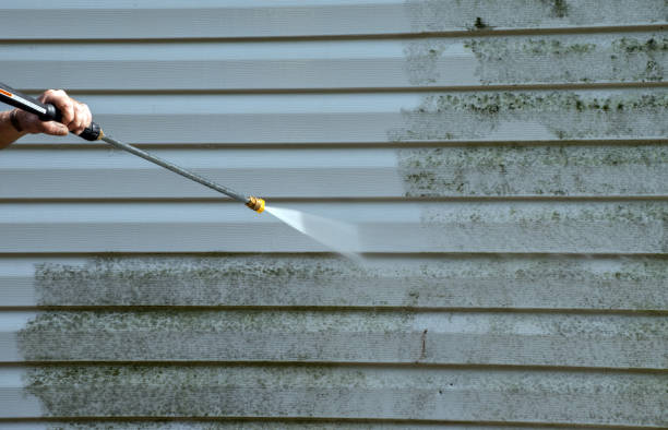 Best Affordable Pressure Washing  in Terryville, CT